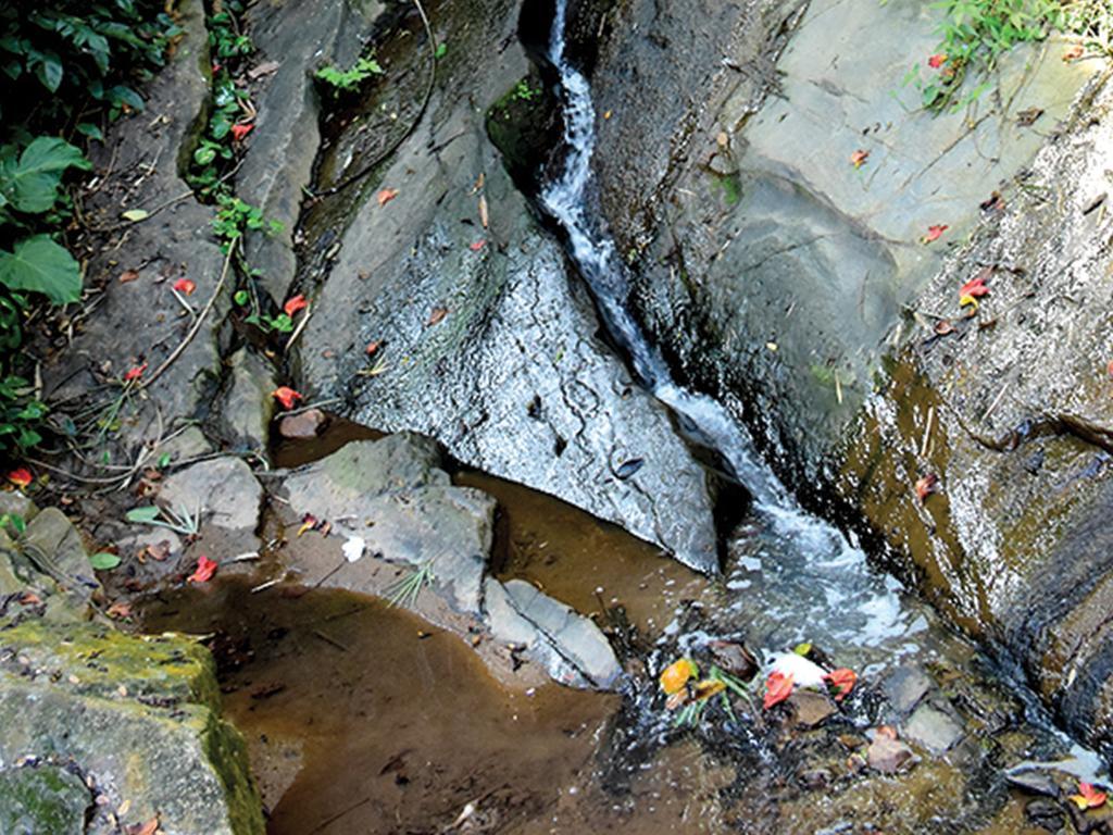 Aronka Homestay Kandy Bagian luar foto
